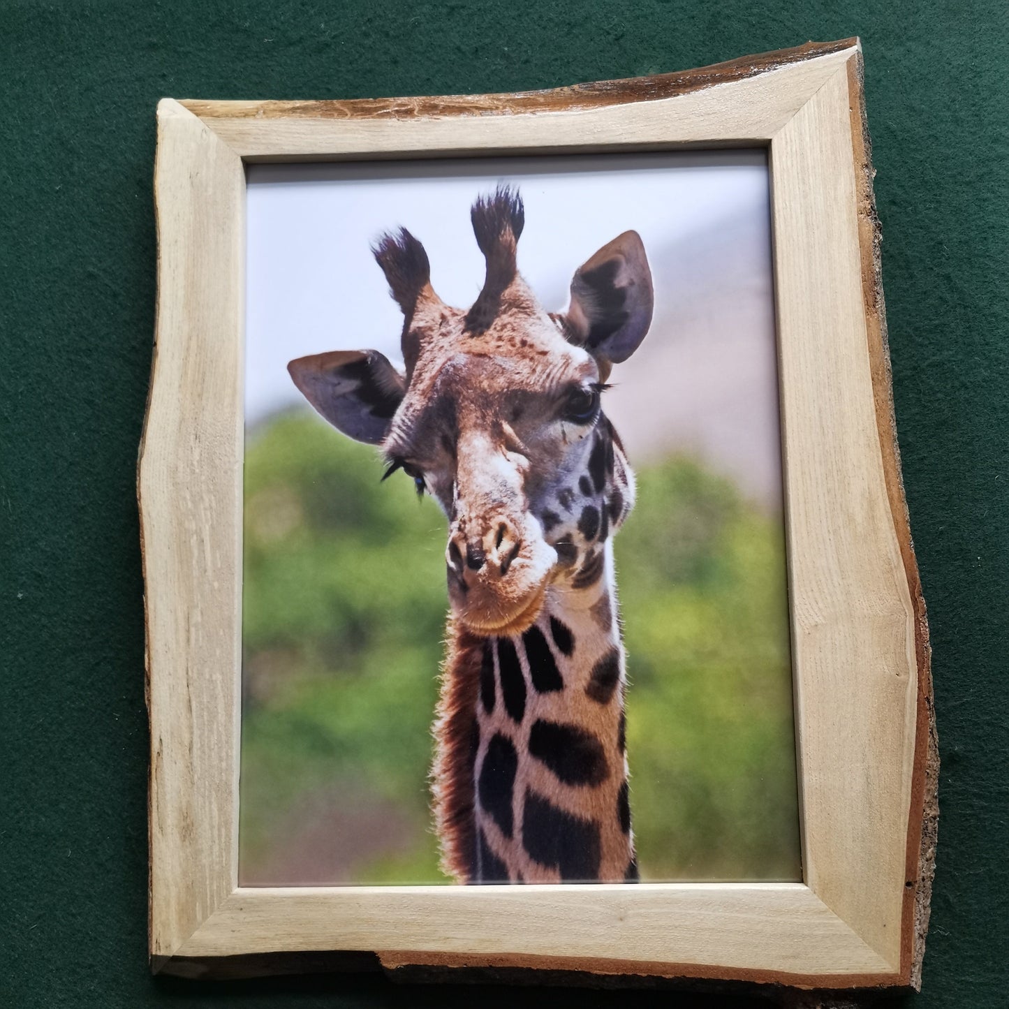 Wild Beauty: Maasai Mara in Rustic Elegance