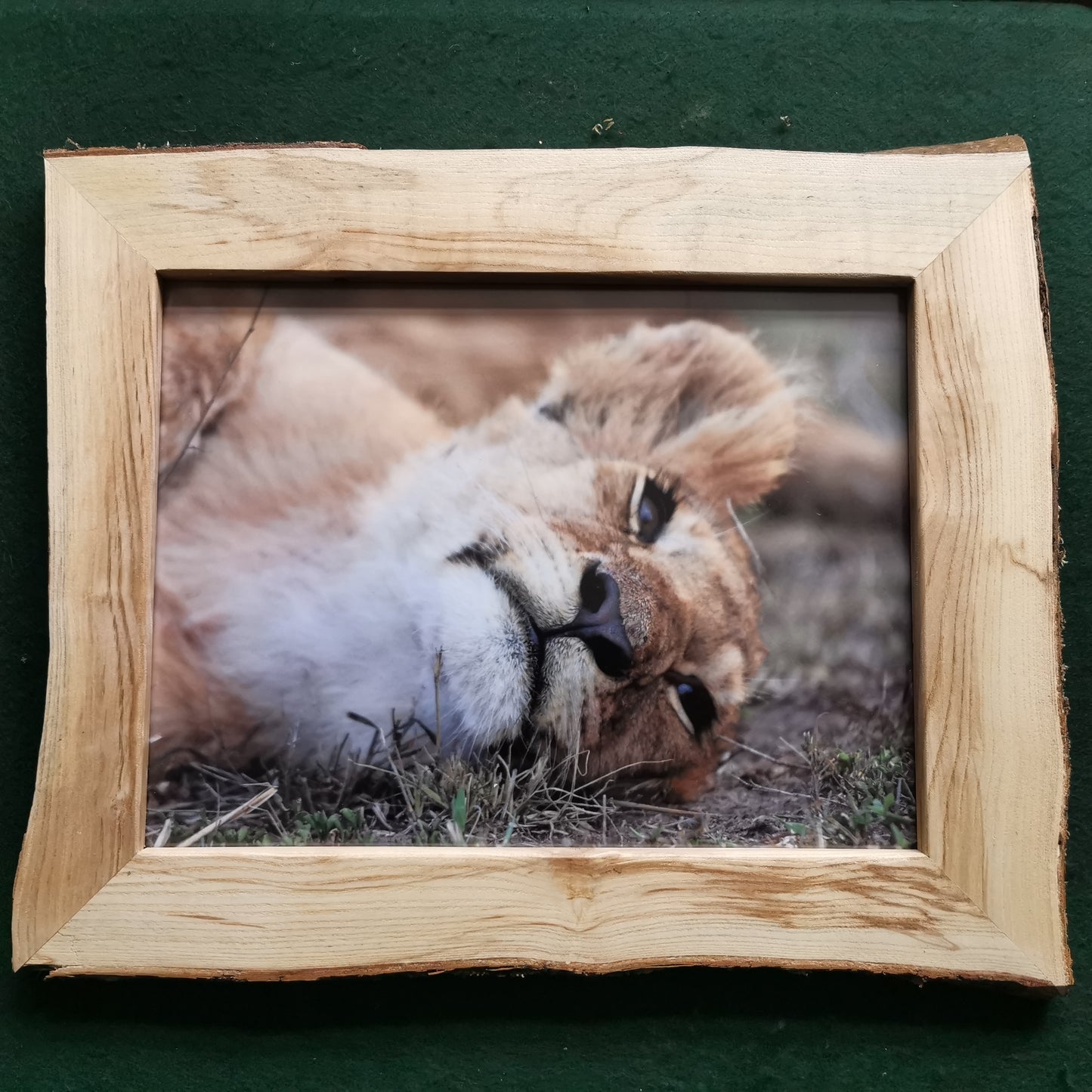 Wild Beauty: Maasai Mara in Rustic Elegance