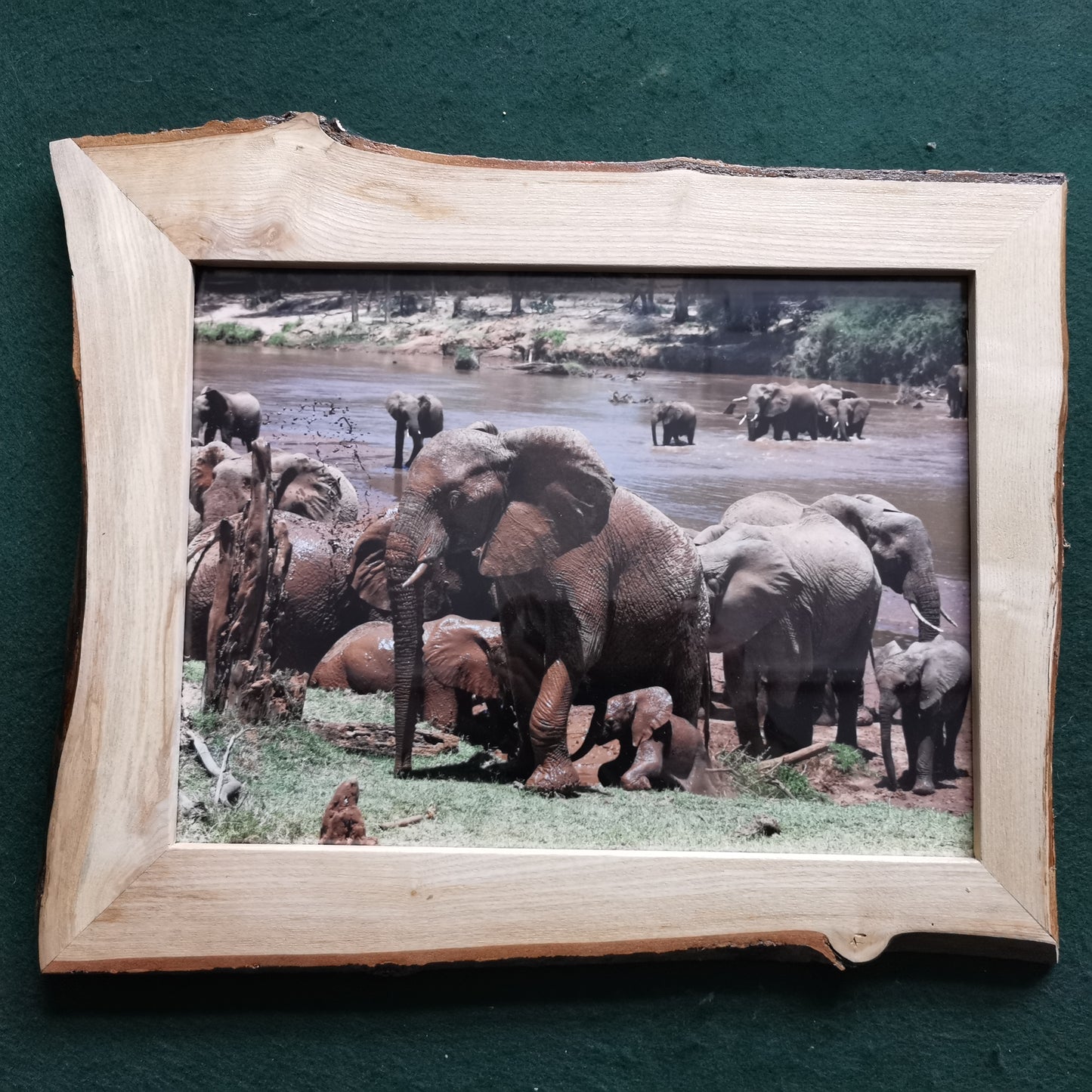 Wild Beauty: Maasai Mara in Rustic Elegance