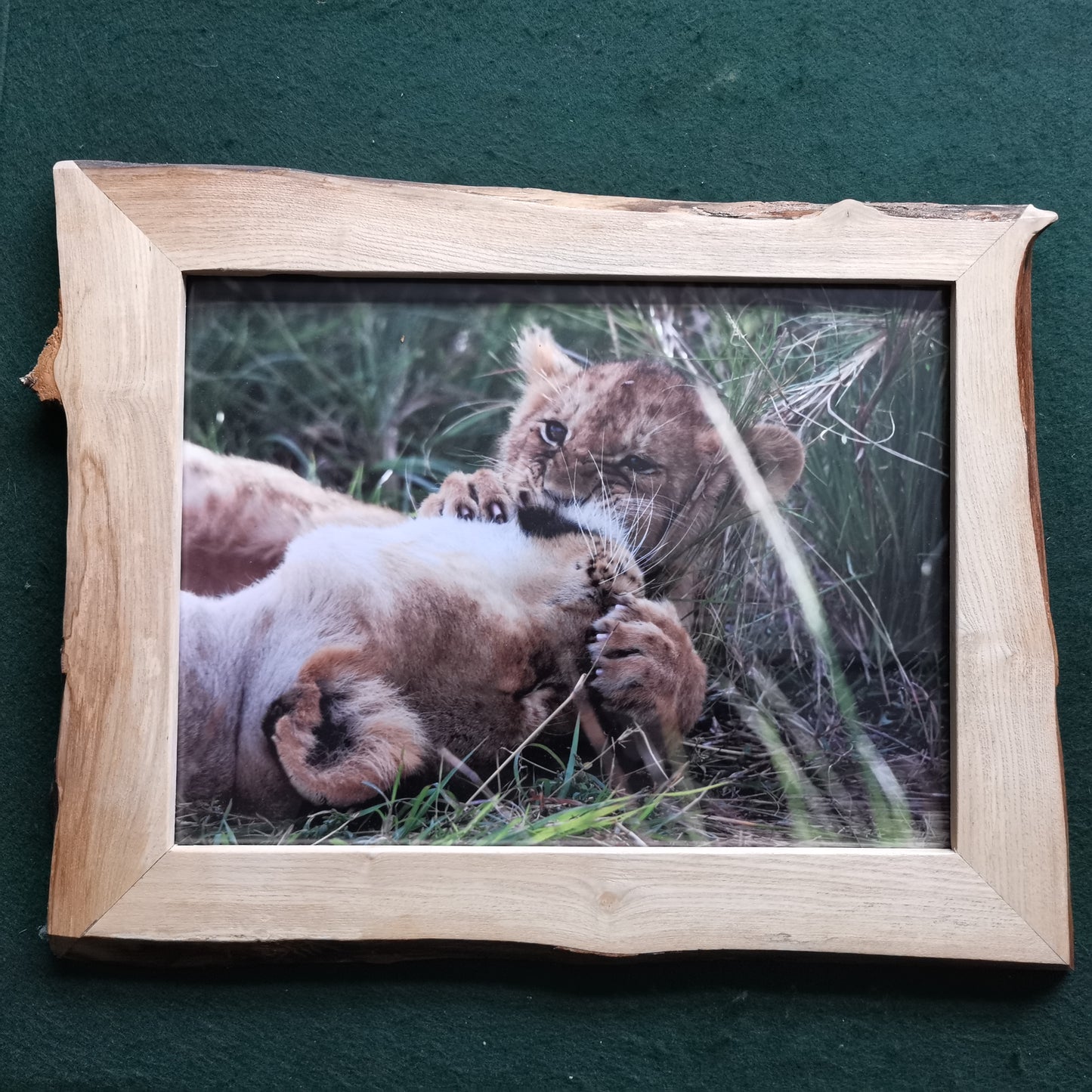 Wild Beauty: Maasai Mara in Rustic Elegance
