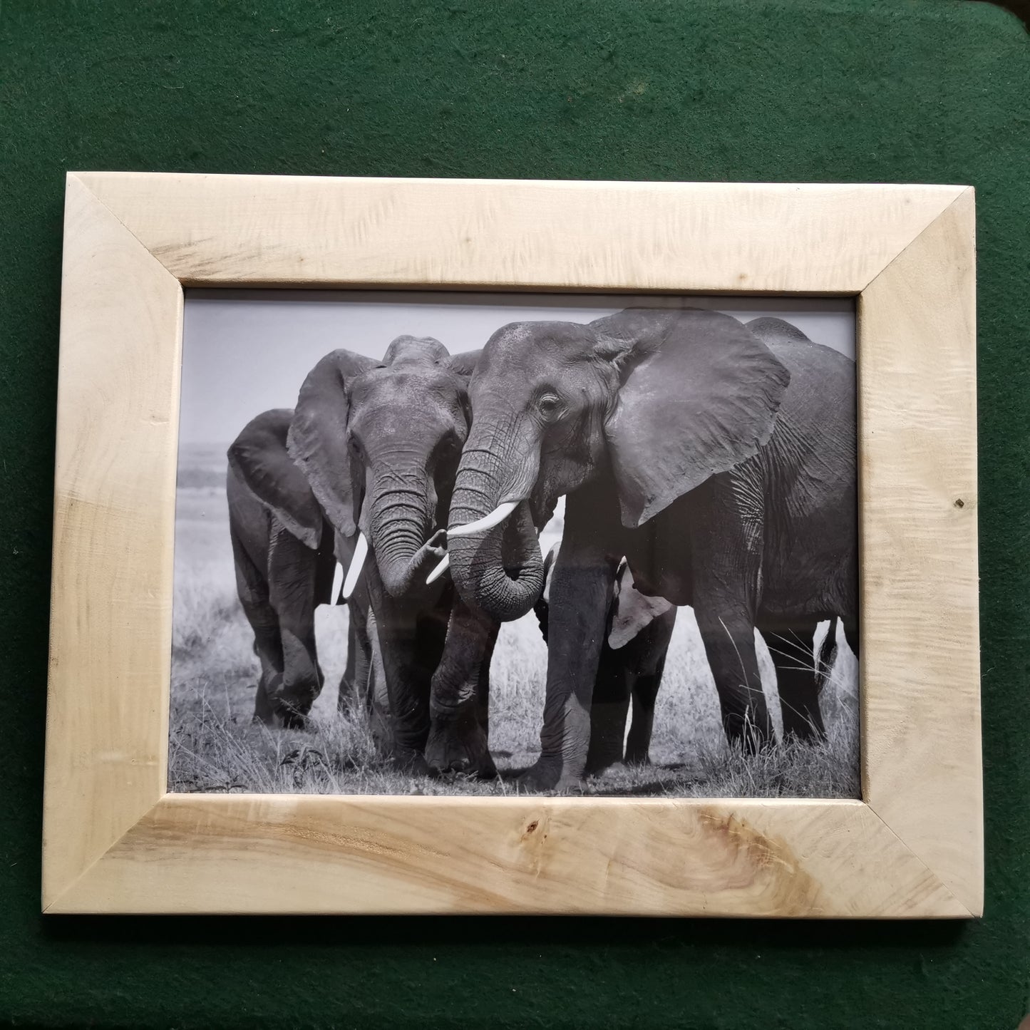 Wild Beauty: Maasai Mara in Rustic Elegance