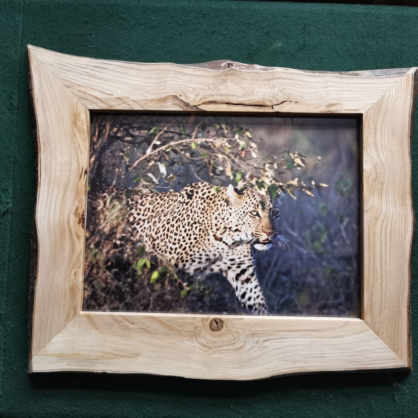 Wild Beauty: Maasai Mara in Rustic Elegance