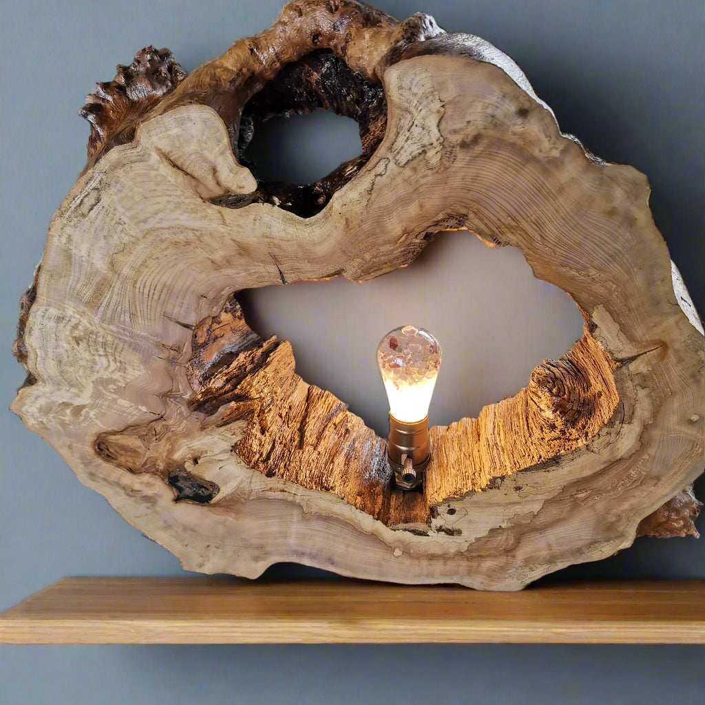 Driftwood lamp with a light bulb inside on a green bench