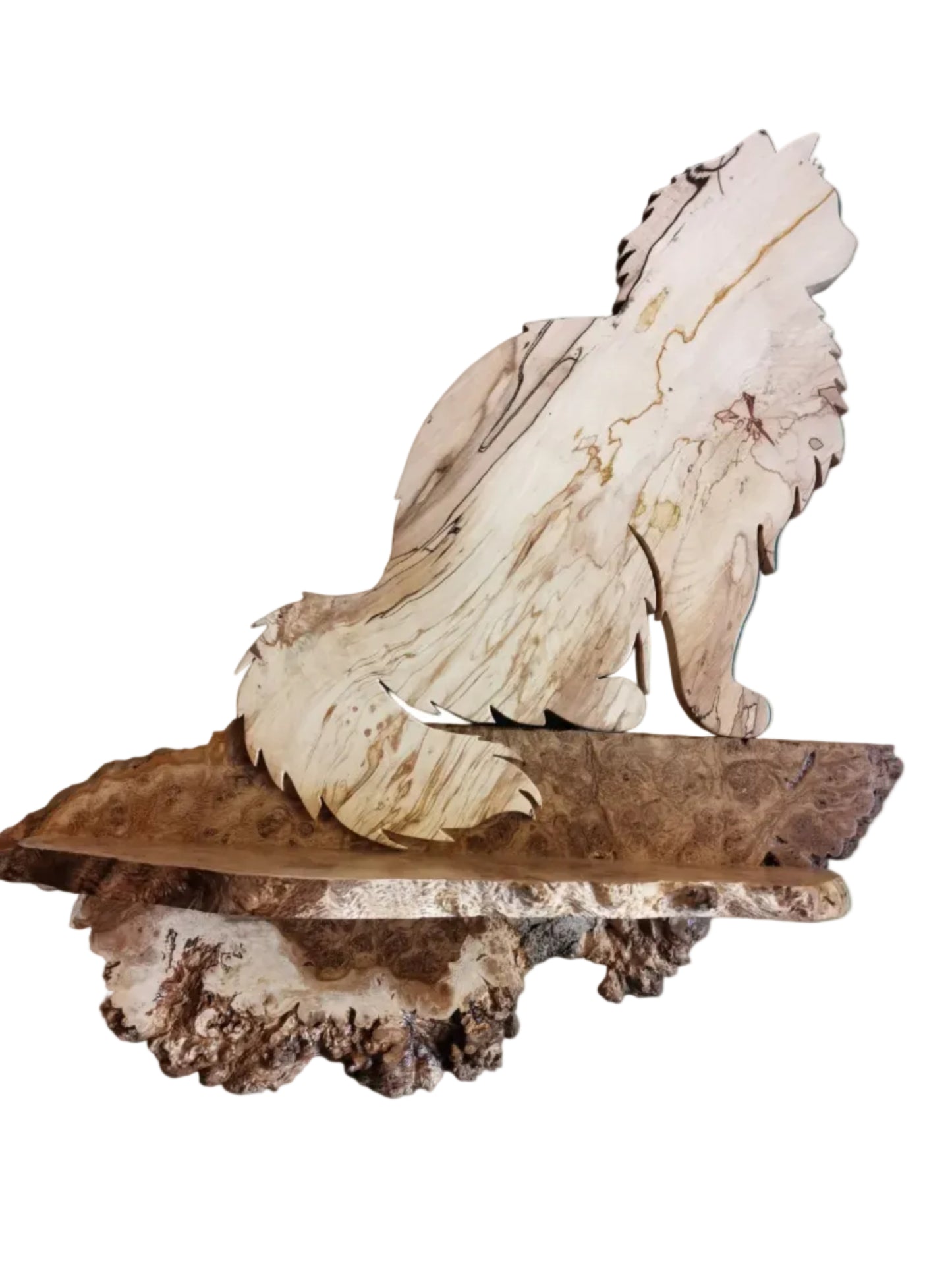 show this cat shelf on a nice contrasting wall