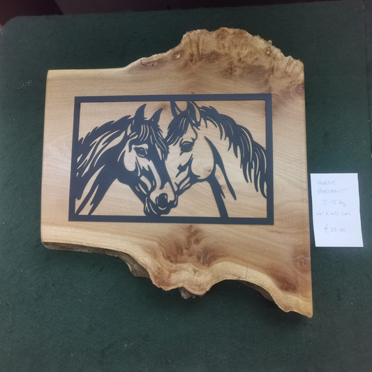 Horse Portrait